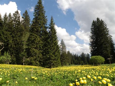 Sjeverni velebit je mjesto koje uvijek iznova uspijeva iznenaditi svakog gosta, čak i ako nije ovdje pri put, te očarati sva pronađite idealan smještaj u okolici lokacije nacionalni park sjeverni velebit. Nacionalni park Sjeverni Velebit - Parkovi Hrvatske | Park ...