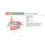 Lateral Wall of Nasal Cavity