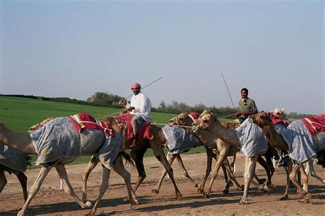 ) if you travel by taxi make sure to book your return trip in advance. Ian and Wendy's Travel Blog Pictures of Uae: Abu Dhabi Al ...