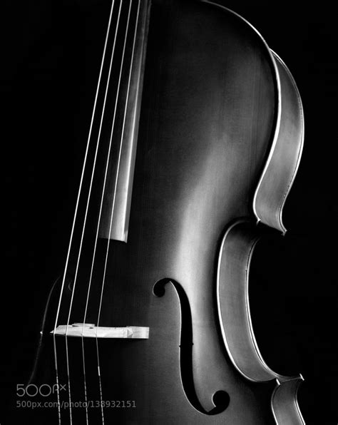 Pin By Anna Cave On Black And White Cello Black And White Music