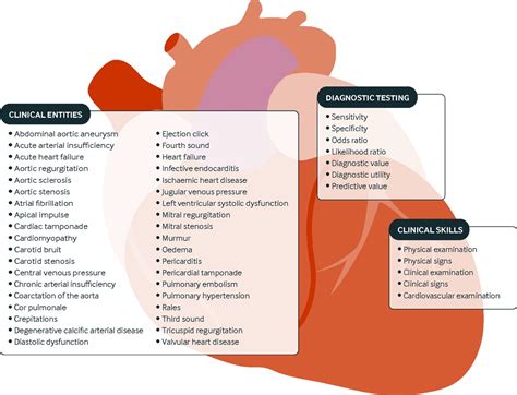 How Valuable Is Physical Examination Of The Cardiovascular System