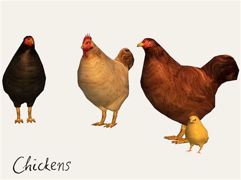 Simtown Presents Moar Farm Chicken Ive Reshaped It To Match