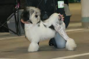 It has been made mandatory that all estimates shall be prepared, submitted and processed only through price. news - 2007 - GWAIHIR'S KENNEL