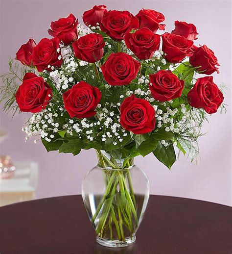 Rose Elegance Premium Long Stem Red Roses 161776