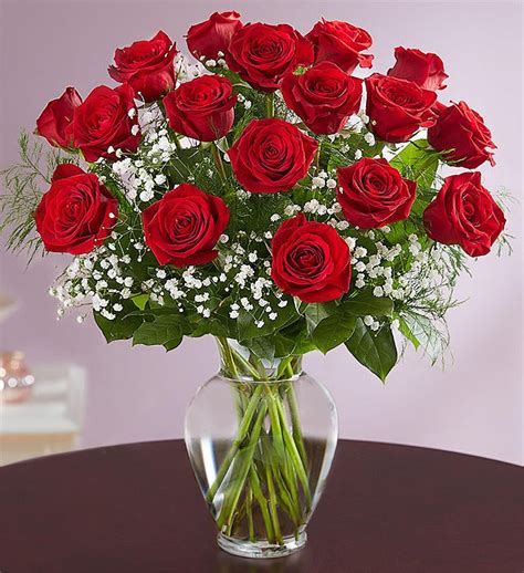 Flowers that go limp are not drinking well and need to be recut. Rose Elegance™ Premium Long Stem Red Roses | 1800Flowers ...