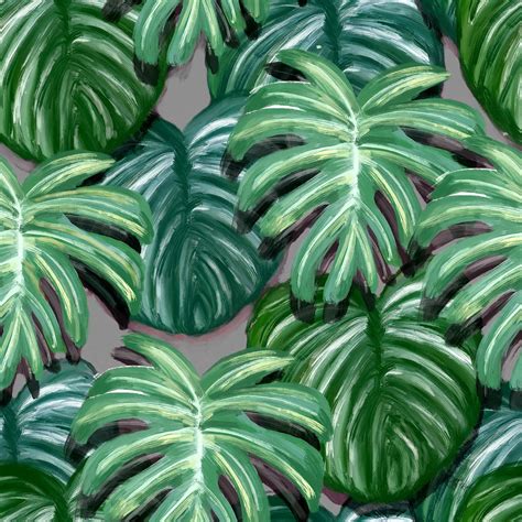 Monstera Deliciosa Plant Painting Impression Painting By Sandi Oreilly