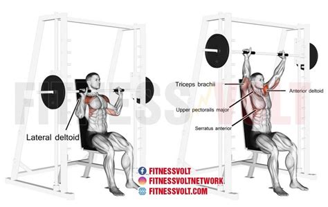 How To Do The Smith Machine Seated Overhead Press Workout Tips