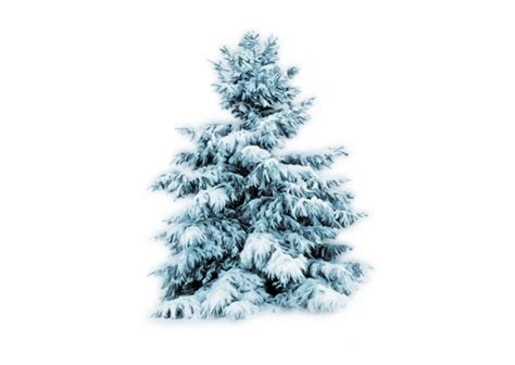 Thumb Image Transparent Snow Christmas Tree Clip Art Library
