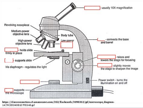 Microscope Diagram Diagram Quizlet