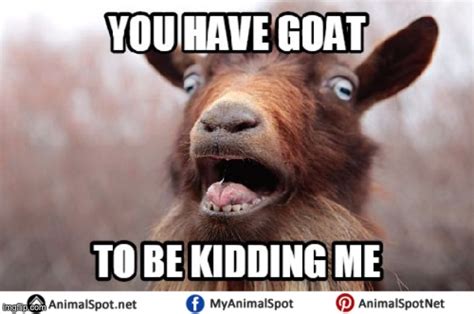 Goat To Be Kidding Repost Imgflip