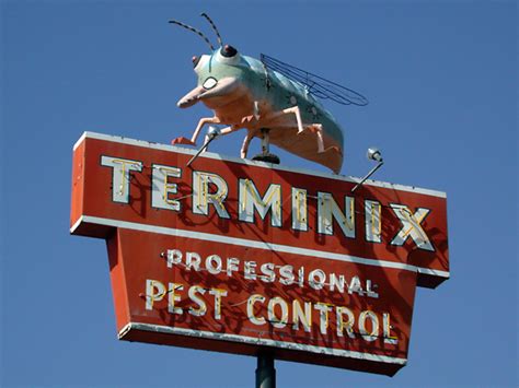 Austin's mild temperatures and seasonal humidity make our area a hotbed for pest activity. Terminix sign | landmard exterminator sign on the ...
