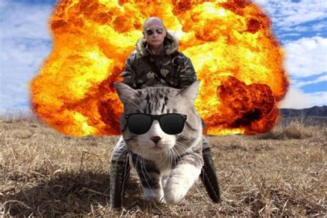 Cat Walking Away From Explosion Inspires Another Great Photoshop Battle