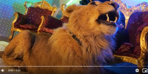 Dani mocanu cu melodia caracter de leu versuri: VIDEO: Dosar penal pentru cântărețul cu videoclipul în ...