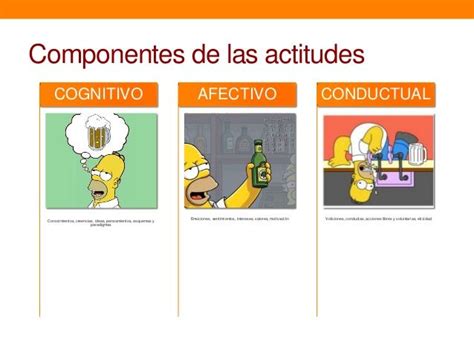 Psicología Social Actitudes Y Comportamientos Actitud Psicologia