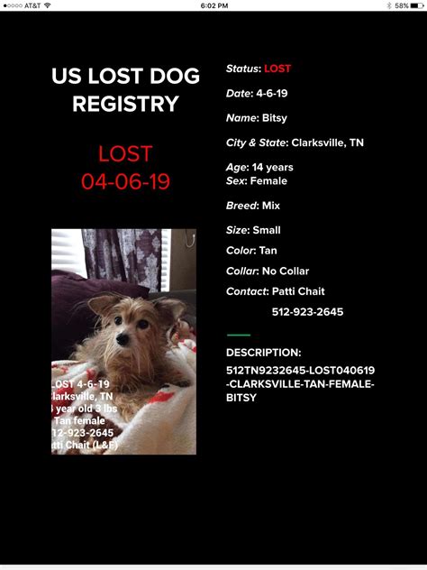 Craigslist Clarksville Tennessee Lost Pets | Pets Animals US