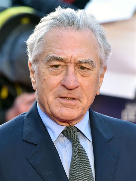 His paternal grandfather was of italian descent, and his other ancestry is irish, english, dutch, german, and french. Robert De Niro | Biography, Films, & Facts | Britannica