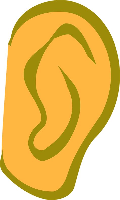 Ear Hear Listen Ear Conch Png Picpng