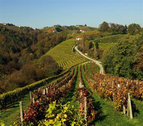 Österreich and oesterreich redirect here. Wine country Austria | FOUR Magazine : FOUR Magazine