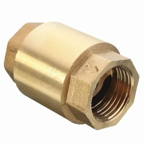 Jedrek Vertical Brass Check Valve Size 1 Inch At Rs 155piece In