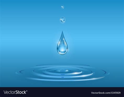 Drops Falling Into Pure Water Royalty Free Vector Image