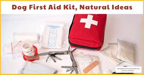 Dog First Aid Kit Ideas Natural Dog Emergency Kit Remedies And Ideas