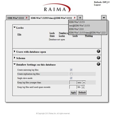 Raima Database Manager 110 Tfs Configuration And Extension Api Guide