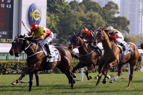 24 10 2020 hong kong sha tin live horse race 1 10 highlights. Hong Kong Horse Racing News - Live Trading News