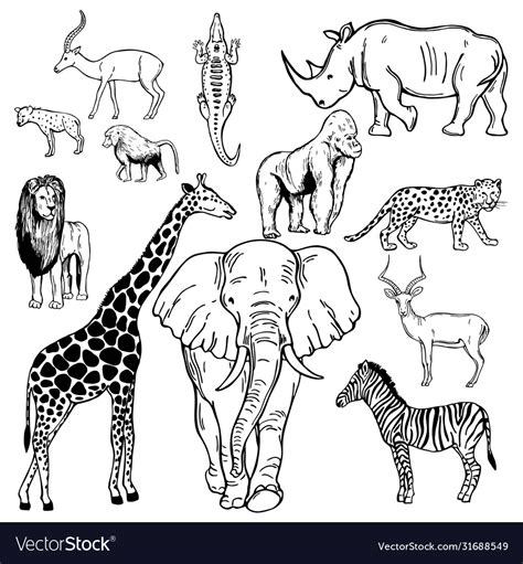 Hand Drawn African Animals On White Background Vector Image