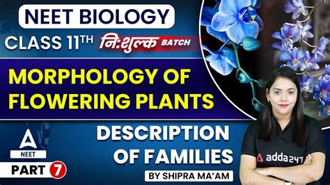 Description Of Families Morphology Of Flowering Plants 8 Class 11