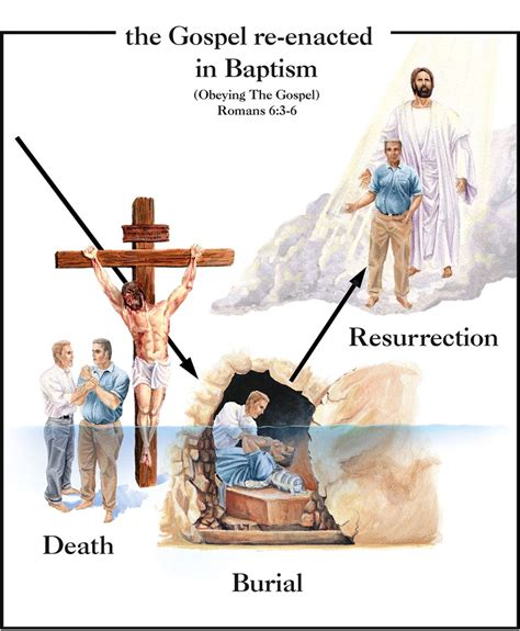 Apologetics Press Do We Die To Sin Before Baptism Or In Baptism