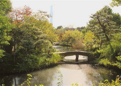 A cherry blossom is a flower of many trees of genus prunus or prunus subg. 3 Classic Japanese Gardens in Tokyo You Can't Miss