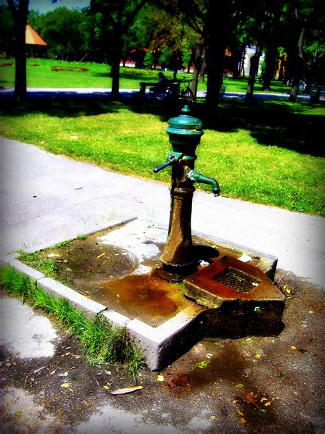 Free Images Water Pump Vintage Retro Park Summer Vacation Palic Lake Subotica Tree