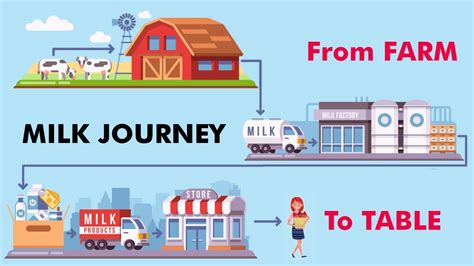 The Journey Of Milk Youtube