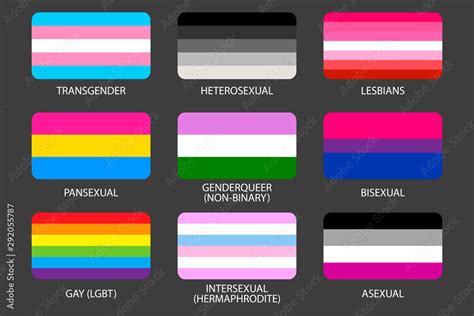 Set Of Lgbt Pride Flags Gays Lesbians Asexuals Transsexuals