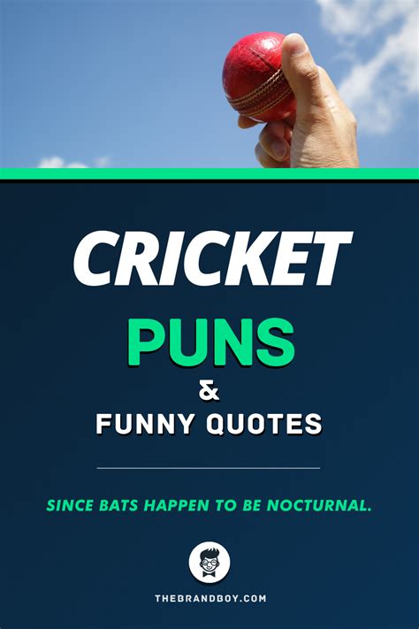 59 Best Cricket Puns And Funny Quotes Funny Quotes Crickets Funny