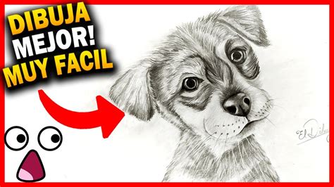 Como Dibujar Un Perro Realista 🐶 Paso A Paso Dibujo De Animales Muy