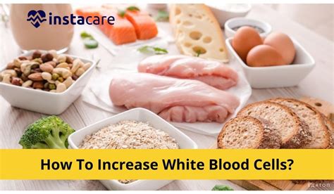 How To Increase White Blood Cells
