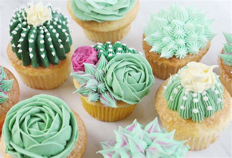 6 unfrosted chocolate cupcakes, 6 unfrosted vanilla cupcakes, a tub of madagascar vanilla buttercream (enough to decorate all 12 cupcakes), 3 small disposable pastry bags. Sweet Vanilla Succulent Cupcake Decorating Tutorial ...