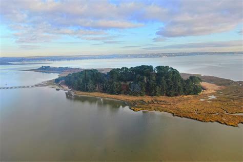 Round Island Poole Harbour 2151 In United Kingdom