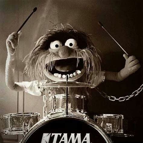 Animals World Animal Muppet Drums Drummer