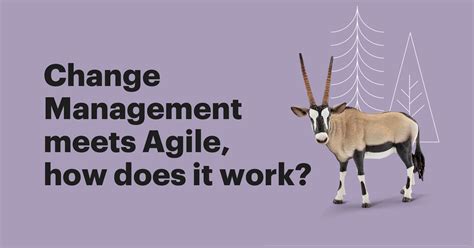 Change Management Meets Agile How Does That Work