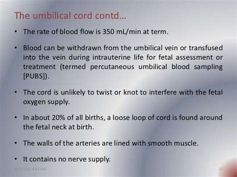 What Is The Function Of The Umbilical Cord During Pregnancy