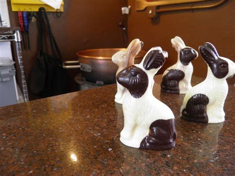 Bunnies Abound In Langley And We Make Sure We Have Plenty Of Chocolate