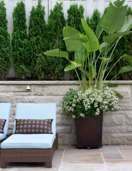 Choose the right finishing touch. Elegant Nest: Outdoor Potted Plants...
