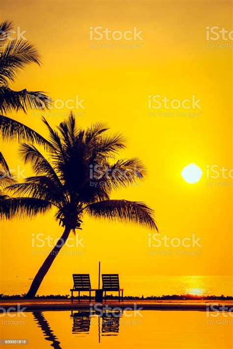 Beautiful Silhouette Palm Tree Stock Photo Download Image Now Beach