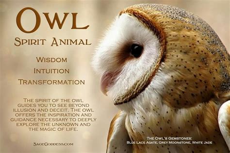 Pin By Linda Bosshold Cruz On Spirituality Owl Spirit Animal Spirit