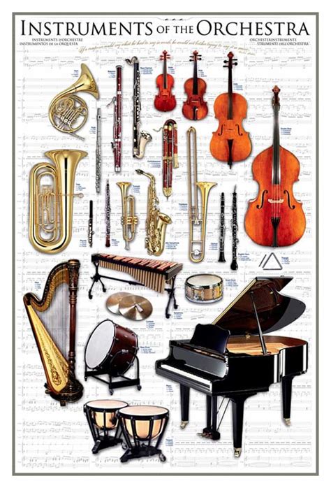 Instruments Of The Orchestra Music Instruments Music Appreciation