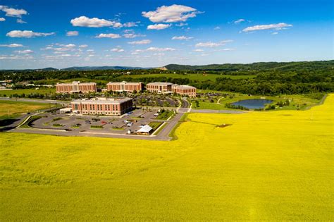 Canola Field Promotes Well Being At St Luke S Anderson Campus Saucon Source