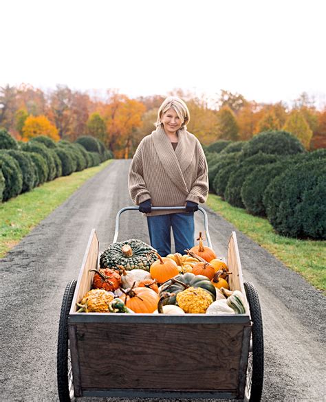 38 terrific thanksgiving turkey recipes. martha stewart thanksgiving clip art 10 free Cliparts ...