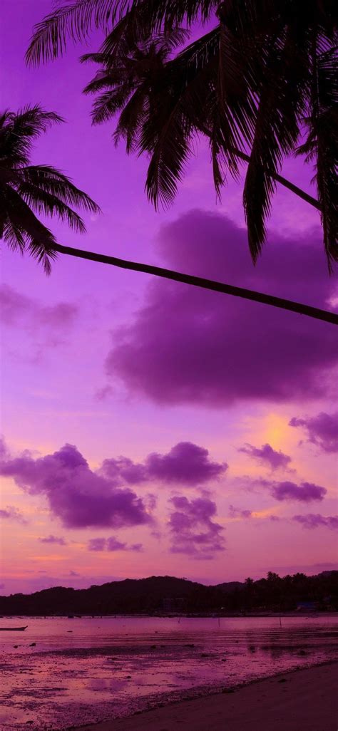 Purple Palm Tree In 1125x2436 Resolution Tree Wallpaper Iphone
